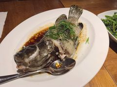 清蒸石斑鱼-泰华海鲜中餐厅(普吉镇店)