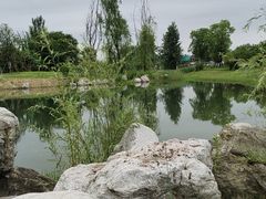 -白鹭湾湿地公园