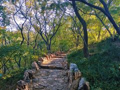 -大连植物园