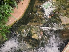-南山植物园