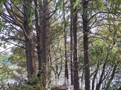 -嘉北郊野公园