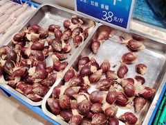 -双井轩(双井店)