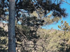 -北京西山国家森林公园