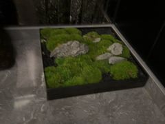 -华夏良子·足道SPA艾灸(金皇大厦店)