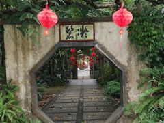 -广西壮族自治区药用植物园