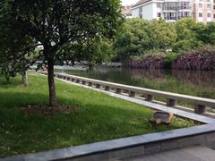 iphone_upload_pic-花溪公园