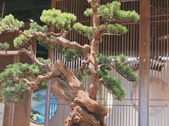-苏帮袁Sue Cuisine(南开大悦城店)