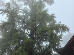 -金堂县云顶石城风景区