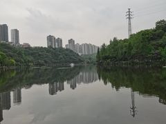 -重庆彩云湖湿地公园