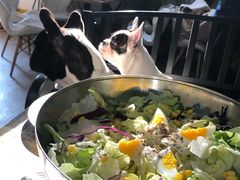 -小时光咖啡馆(北锣鼓巷店)