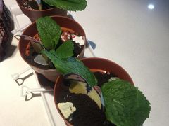 -粤点越有·茶点·粤菜(樵岭国际店)