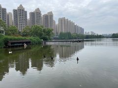 -南湖梦幻岛
