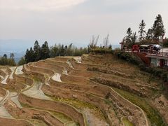 -紫鹊界梯田景区
