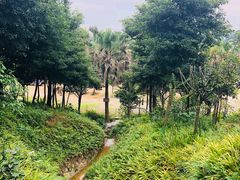 -楠柏弯休闲山庄(梨花溪店)