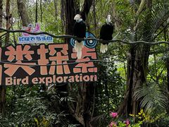 -广州长隆飞鸟乐园