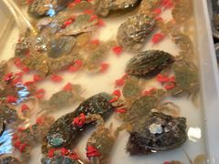 -喝丢一只鞋海鲜烧烤·海肠捞饭(市场店)