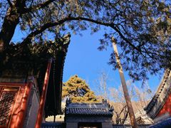 -潭柘寺景区