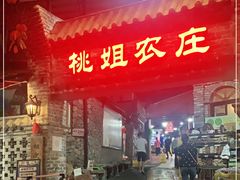 -桃姐农庄老字号(从化温泉店)