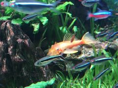 -太平洋海底世界