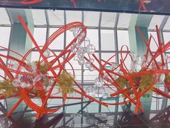 -上海环球金融中心云端足球盛典