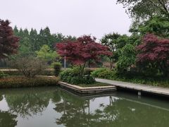 -青枫公园