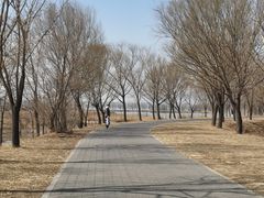 -野鸭湖国家湿地公园