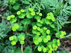 -碓臼峪自然风景区