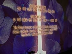 -地球美食剧场