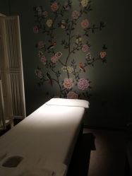 -奈瑞儿美颜美养SPA