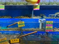-黄寺蒸汽海鲜(黄寺大街店)