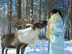 -北极村旅游风景区