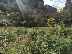 -孤山寨风景区