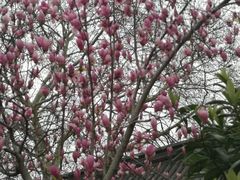 -江南水师学堂遗迹