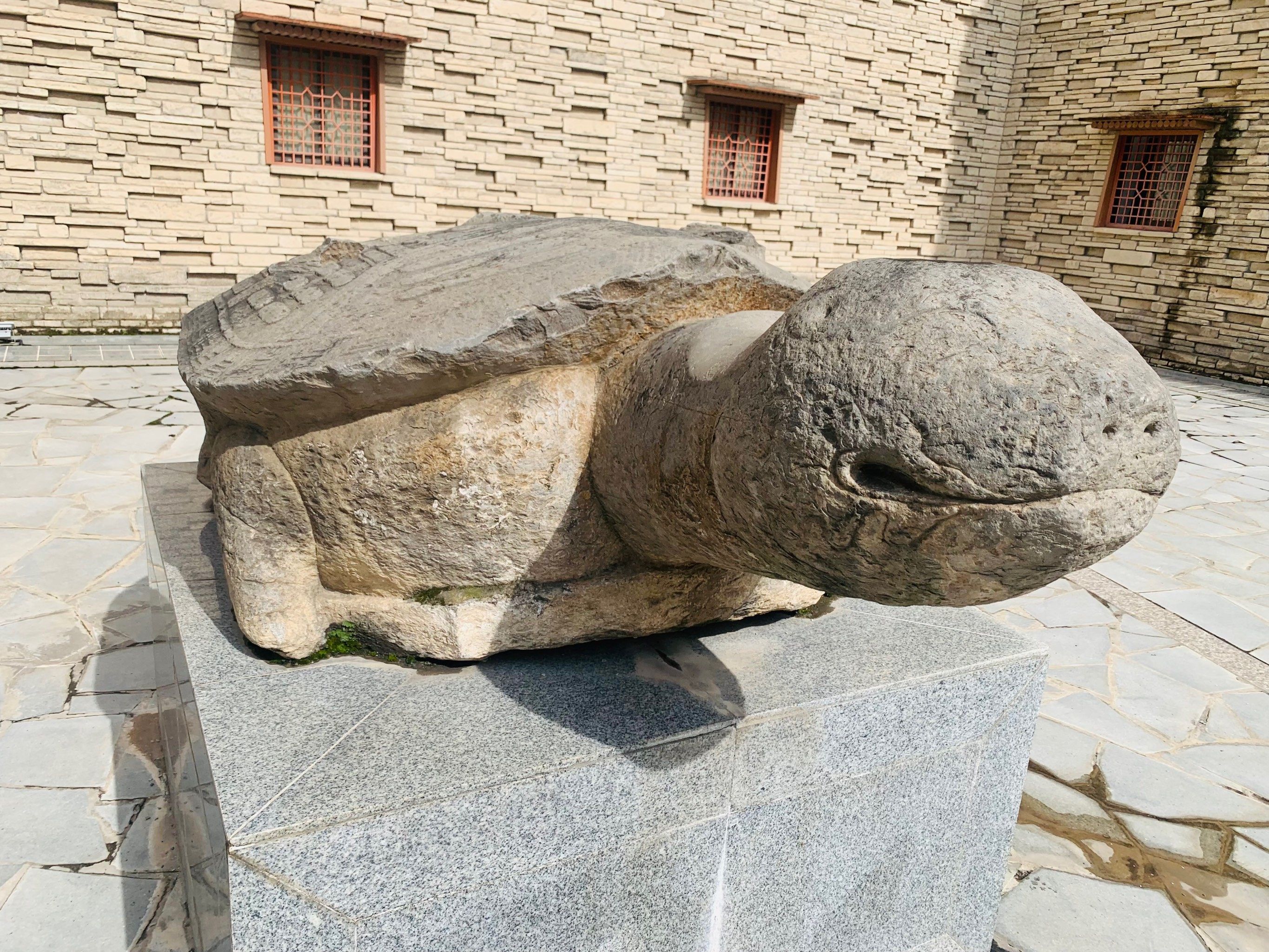 羌笛何须怨杨柳,冬风拂过狮子王--茂县羌族博物馆