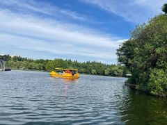 -上海共青森林公园