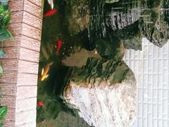 -老诚一锅羊蝎子(垡头店)