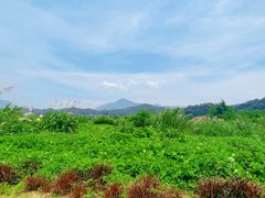 -广州市流溪河国家森林公园