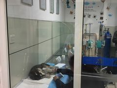 -康乐宝动物医院