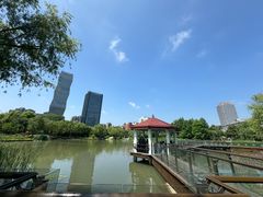 -新虹桥中心花园