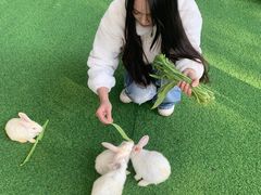 -广东花都香草世界旅游度假区