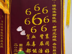 -瑞派宠物医院东莞中心医院·24H转诊·异宠(新河北路院)