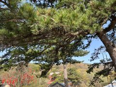 -妙峰山风景名胜区
