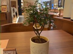 -CURRY YA 熟成咖哩專門店(深圳湾万象城店)