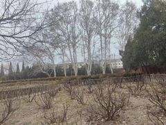-洛阳白马寺