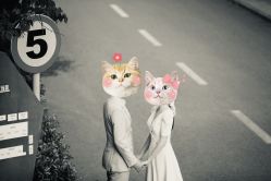 点击看大图 -CD视觉婚纱摄影