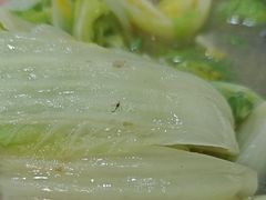 -阿三鱼头泡饼·家常菜