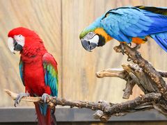 -北京野生动物园