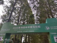 -黄海国家森林公园