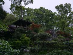 -南山植物园