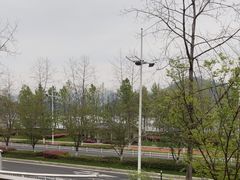 -宝荣鱼馆·临湖之宴(千岛湖店)